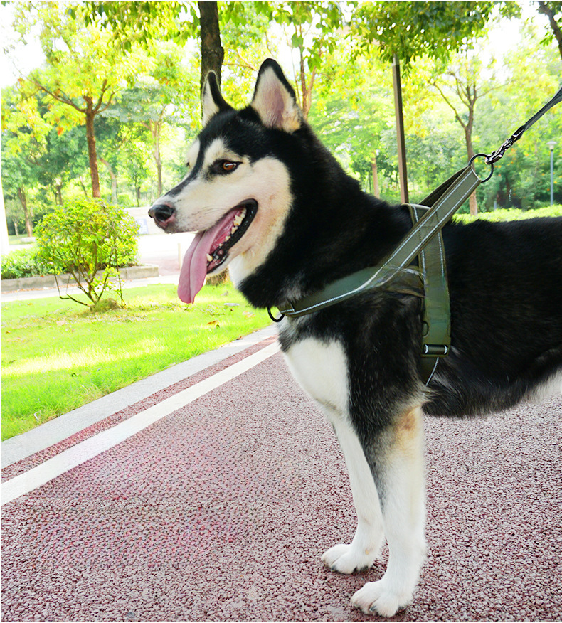 Dog Tactical Harness 7