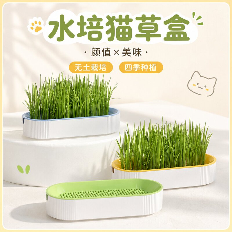 Cat Grass Potted Plant, Cat Grass Planting Box, Wheat Seeds, Soilless Hydroponic Pot, Cat Hairball Prevention, Pet Cat Snacks and Supplies Cat Grass Potted Plant, Cat Grass Planting Box, Wheat Seeds, Soilless Hydroponic Pot, Cat Hairball Prevention, Pet Cat Snacks and Supplies