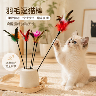 �W�t��ɫ��ë��؈��؈������L�U��Ů��؈���߲���K؈�䌙����Ʒ