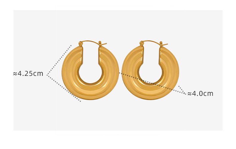 1 Pair Modern Style Round Plating Titanium Steel Hoop Earrings display picture 1