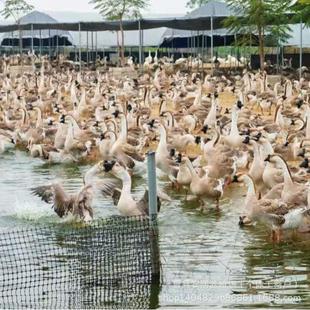 �������F؛���ھW�t���Z��a���Z���ļ��Z����������Z���N�Z��