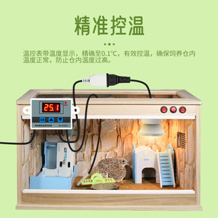 �J���u��B��\�Ơ����u�C�u�݂}��\���r��С�e�����ؐa���䱣ů