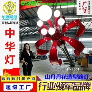 厂家定制中华灯玉兰灯LED中华灯大型景观灯市政工程道路LED灯