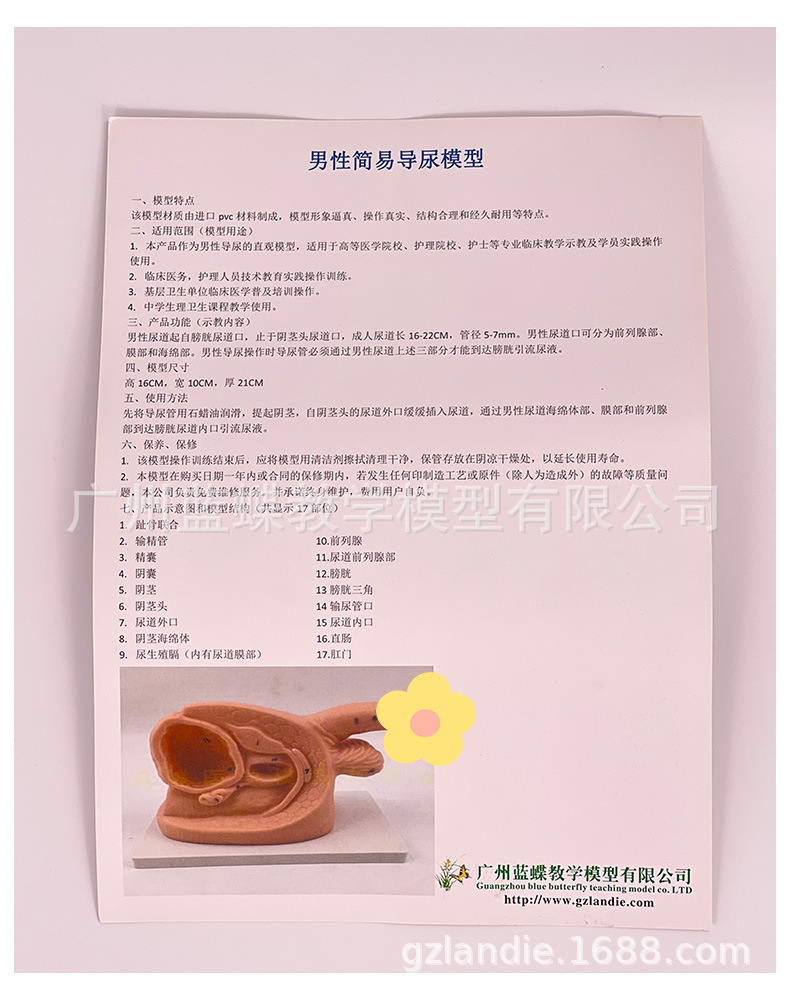 详情_11