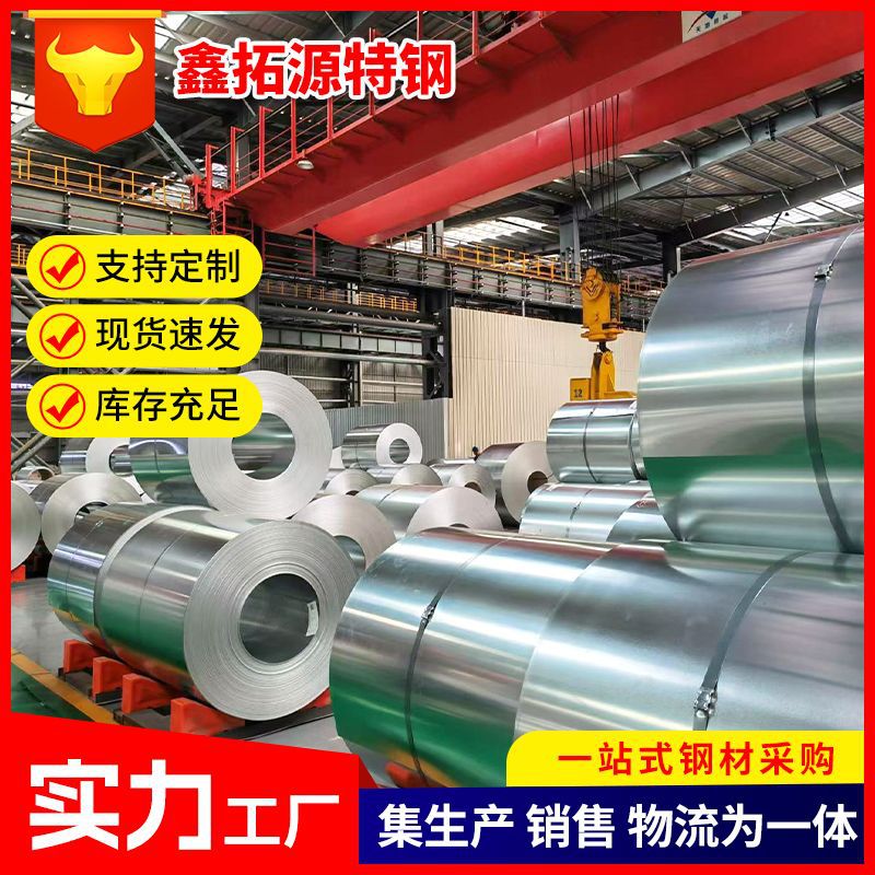 Customizado galvanizado placa de acero galvanizado rollo de placa electrolítica resistente a huellas dactilares placa de galvanizado placa de hierro blanco alta capa de zinc rollo de galvanizado