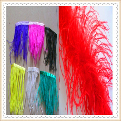 【批发各种规格鸵鸟毛】服装鸵鸟毛条布带厂家热门多种款|ms