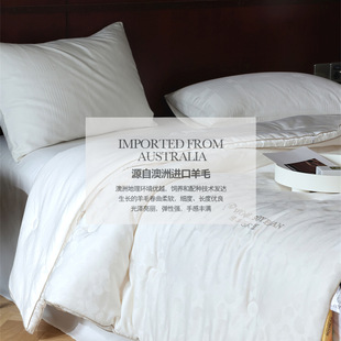MAHINA Gold Wool Soybean Warm Quilt Core Class A Light Luxury Jacquard Winter Quilt Thickened Twin Spring and Autumn Quilt