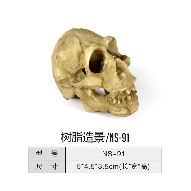 Альпинистский ящик для домашних животных Ящерица Черепаха Рептилия Поддельный человеческий череп Моделирование смолы Ландшафтный дизайн Мини-модель