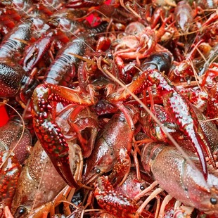 ��������С���r�r�����l��Ʒ�ش����^��ˮ�rȫ���l؛