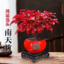 �������������Զ����ͺ��ÿ��t�~�Gֲ�҃���͏d��������ֲ��