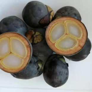 Խ�����r׷�L��Ұ���̻��r���ݾ�/�L//�������]