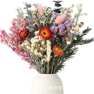 欧洲亚马逊热卖干花永生花束满天星勿忘我云南基地装饰真花家居