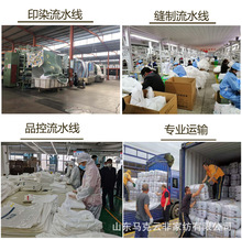 床单单件纯棉印花帆布老粗布加厚榻榻米大炕单四季布工厂批发E18