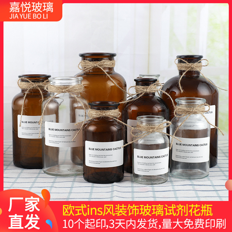 European Style ins Wind Glass Reagent Vase Hydroponic Glass Vase Fleshy Plant Vase Home Decoration Ornaments