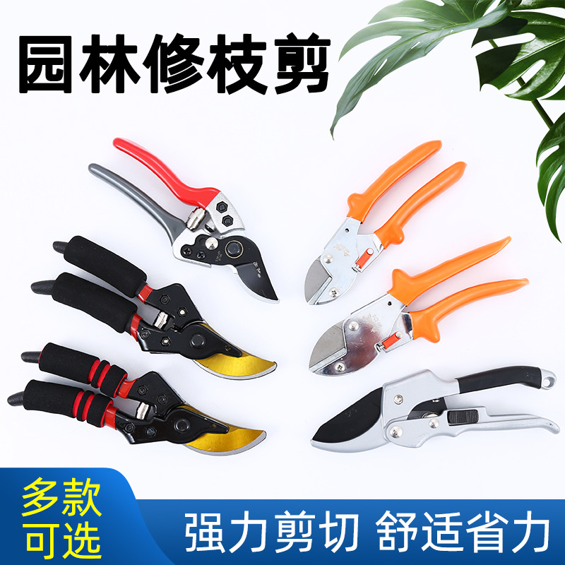 园林园艺修枝剪果树剪刀多用途防滑省力粗枝剪园林绿化剪树枝剪刀