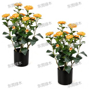 Artificial Camellia Potted Plant ɽ�軨�������Ԣ�