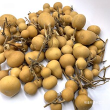 �~�w���J���С�~�ں��J�w�~������肿ڱǟ���ľ�|