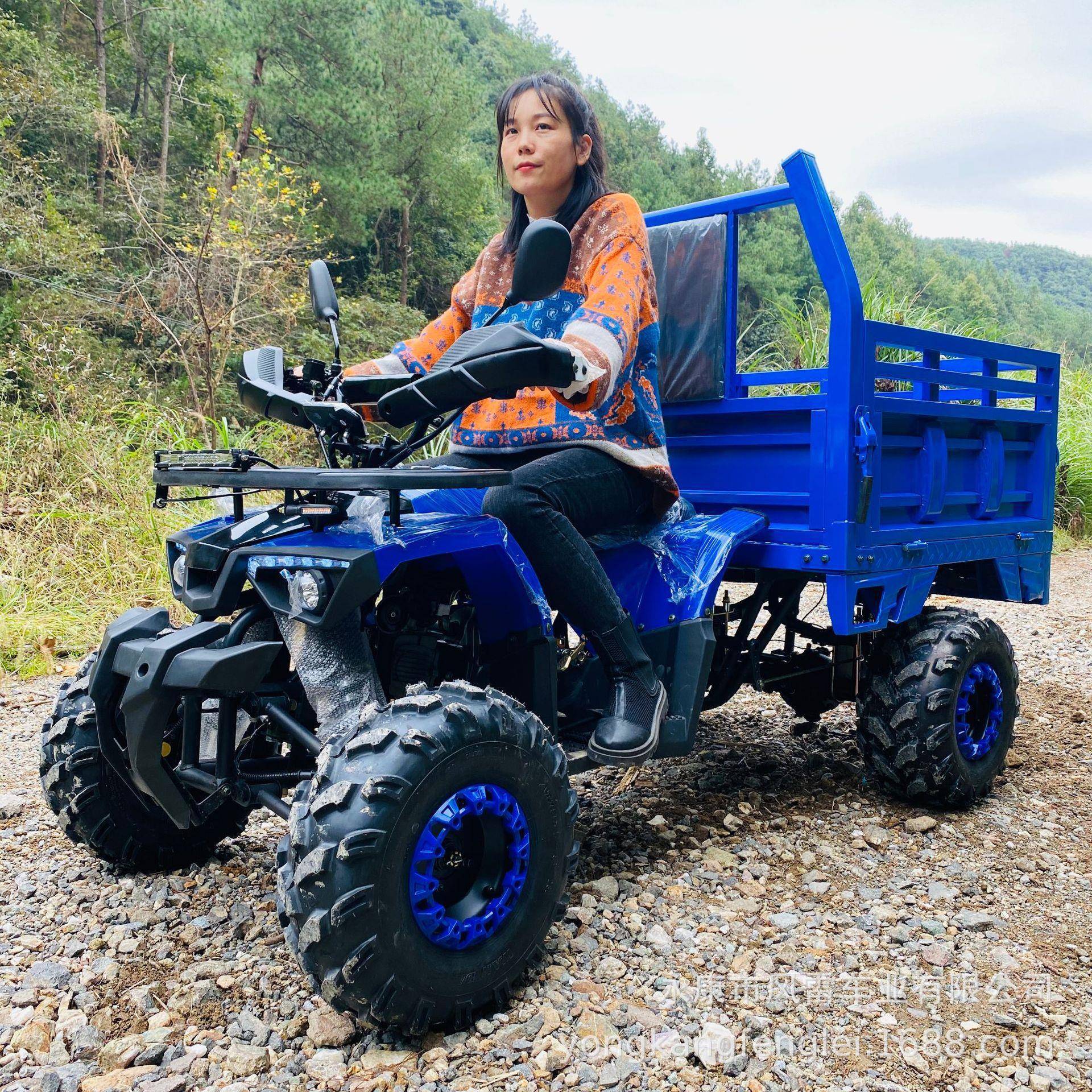 Cuatrimoto Todoterreno ATV a Gasolina de Hierro y Plástico con Transmisión por Eje para Agricultura image 1