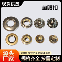 ���b�����S�~�~���o����q���b�o�������ĸ�~��ñ�������o��