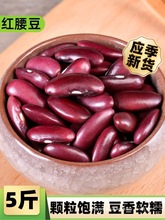 ��ϼt�����tܿ��5���r�����r녶���׸�؛�s�Z�����t������؛