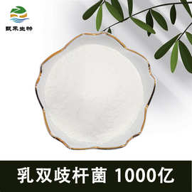 乳双歧杆菌1000亿益生菌冻干粉乳酸菌粉益生菌原料固体饮料