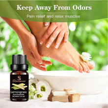 ���ʲݾ��� ��޹����ֲ�ﾫ�� �o�l���Ͱ�Ħ�� �S�ҿ羳 ��Ȼ����