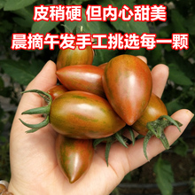 迷彩小番茄圣女果新鲜小西红柿子非海南千禧铁皮生吃水果蔬菜5斤