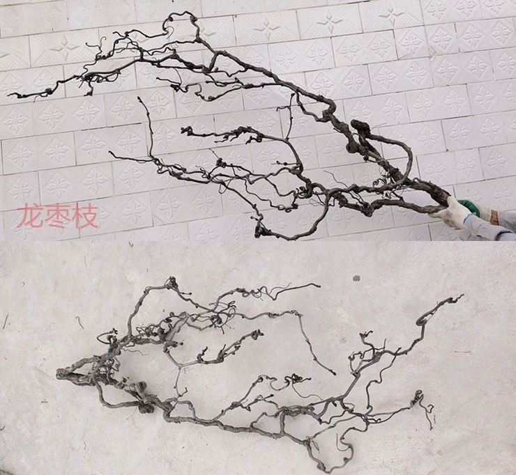 Дракон мармелад ветка украшение отель Dragon Claw ветка Цветочная композиция цветочное искусство основная ветка натуральные изогнутые формы украшения пейзаж мягкий наряд
