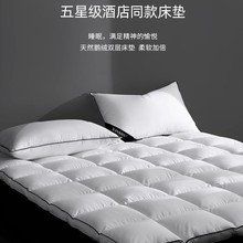 �e�^�Ƶ괲�o�| ��q���|�Ӻ��p����ë�����Ӵ��|��ɫ �S�����l