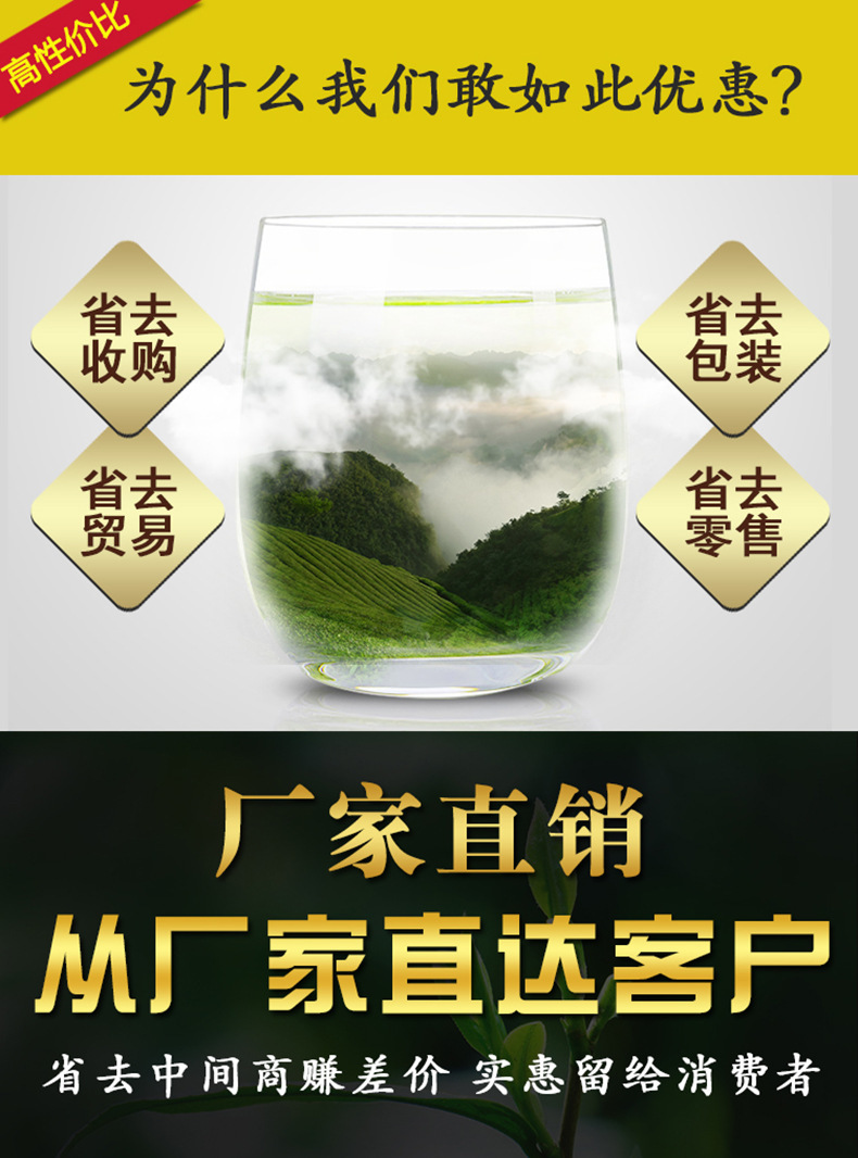 Biluochun Green Tea 2024 Spring Harvest Loose Leaf 500g Bag key features