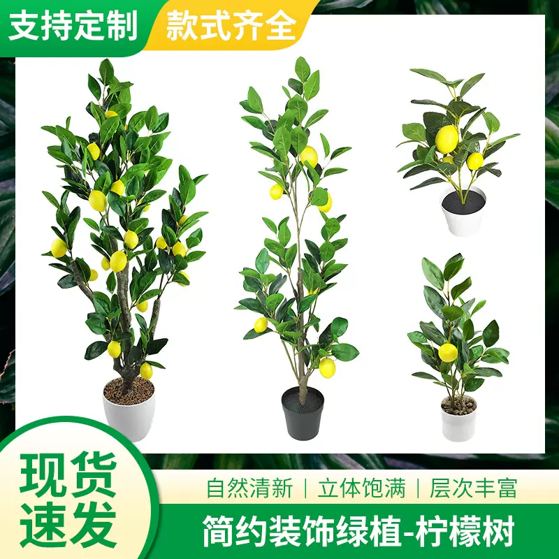 仿真柠檬树盆栽   大型盆栽摆件客厅室内仿真植物   仿真树柠檬树