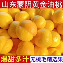 【新品上市】山东蒙阴脆甜黄心桃子黄金油桃新鲜水果当季孕妇季1