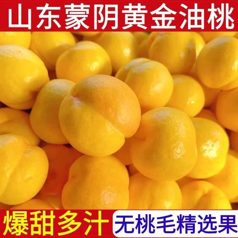 【新品上市】山东蒙阴脆甜黄心桃子黄金油桃新鲜水果当季孕妇季1