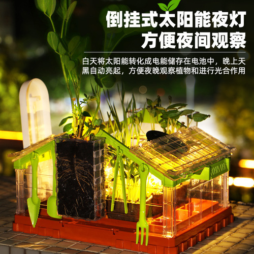Children's scientific vegetable planting laboratory set planting observation seed germination and growth potted primary school students ecological laboratory