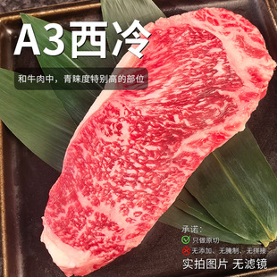 A3�������rţ�Ź��ѩ����ţ����ԭ��ţ�şo���ӟo���Ɵoƴ��