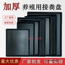 宠物托盘狗笼子接尿盘加厚塑料兔笼鸡鸽子养殖长方形粪盘