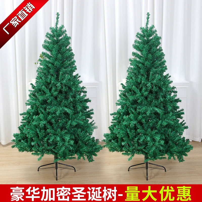 Источник производитель Рождественский зеленый шифрование экологически чистый ПВХ рождественская елка 1.2/1.5/1.8/2.1 м домашнее голое дерево