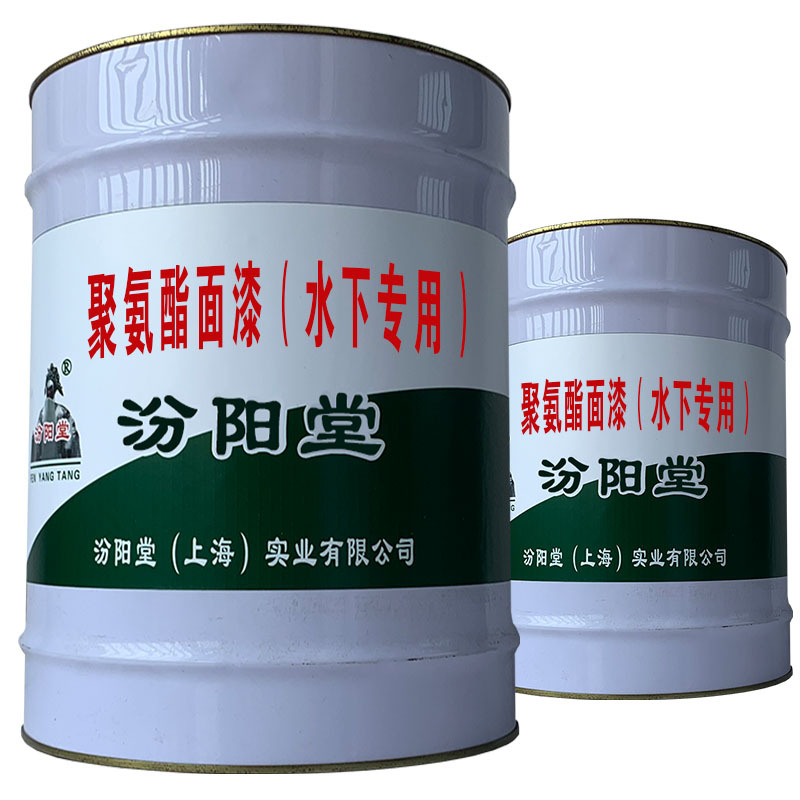 聚氨酯面漆（水下专用），基层要求坚实、平整！