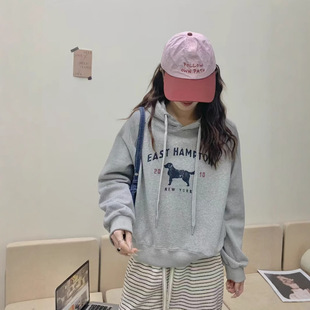 Hooded Printed Letter Long Sleeve Sweat Women's 2025 New Explosions Spring Loose Casual Fashion High-end Sense Top