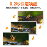 Видеокамера с животными, автоматический монитор на солнечной энергии