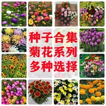 ջNɹշNײͰǧ^ʸ܇߱޾ļN