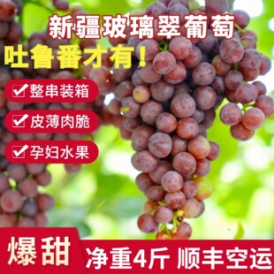 �½��������������������r��ժ�o�����Ѽt��o������4����S���]