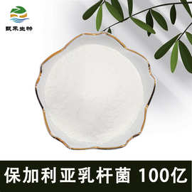 保加利亚乳杆菌100亿益生菌冻干粉 乳酸菌粉 益生菌原料食品添加