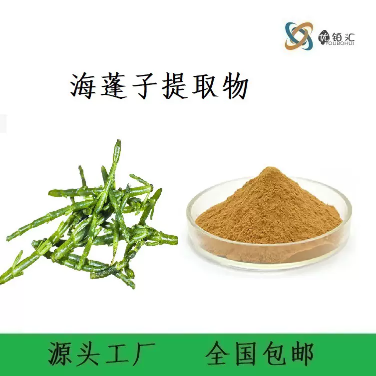 优铂汇供应海蓬子提取物植物生物碱欢迎详谈