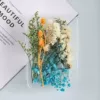 K20 Serenity Lake Box: Free hemp rope for binding flowers and leaves