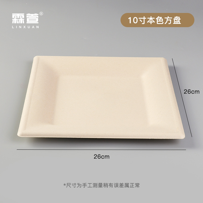 10 인치 천연 사각형 플레이트