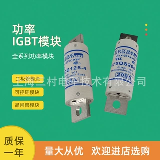 全新熔断器保险丝A60Q5-2 A60Q6-2 A60Q8-2 A60Q10-2 A60Q12-2