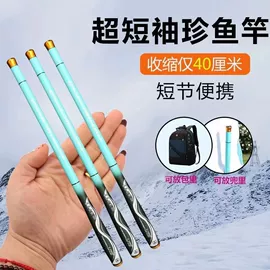 鱼竿;其他垂钓用品;鱼饵