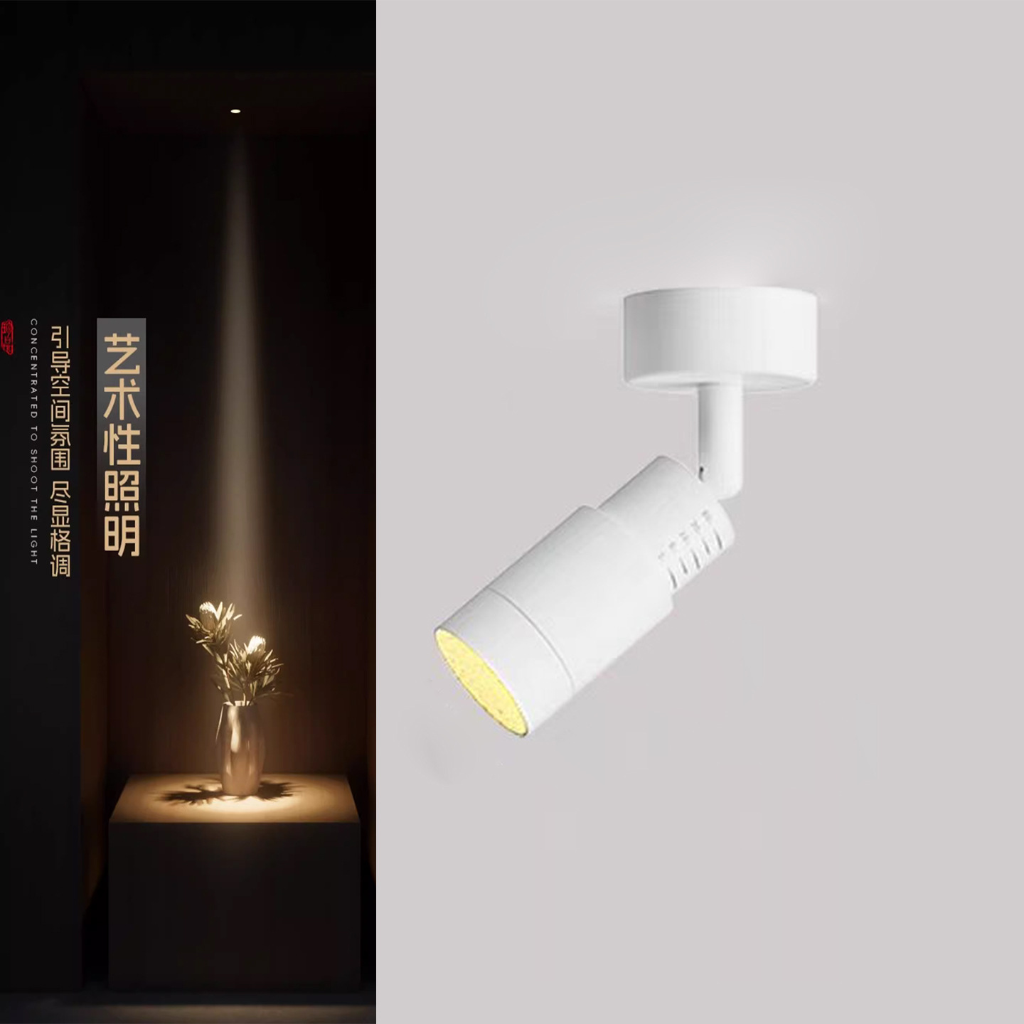 Surface mounted focusing 3-60 degrees white body diameter 20mm 3w