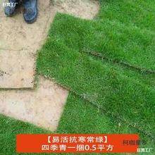 ���~���R�������������̎���ݲݏS���׻�̨����ƺͥԺ�V�|��̫��